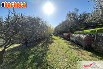 terreno agricolo in vendita a Verona in zona Avesa