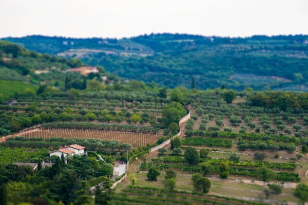 appartamento in vendita a Verona in zona Quinzano