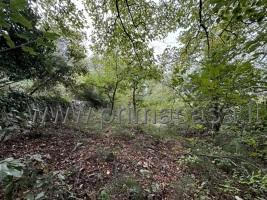 terreno agricolo in vendita a Verona in zona Quinzano