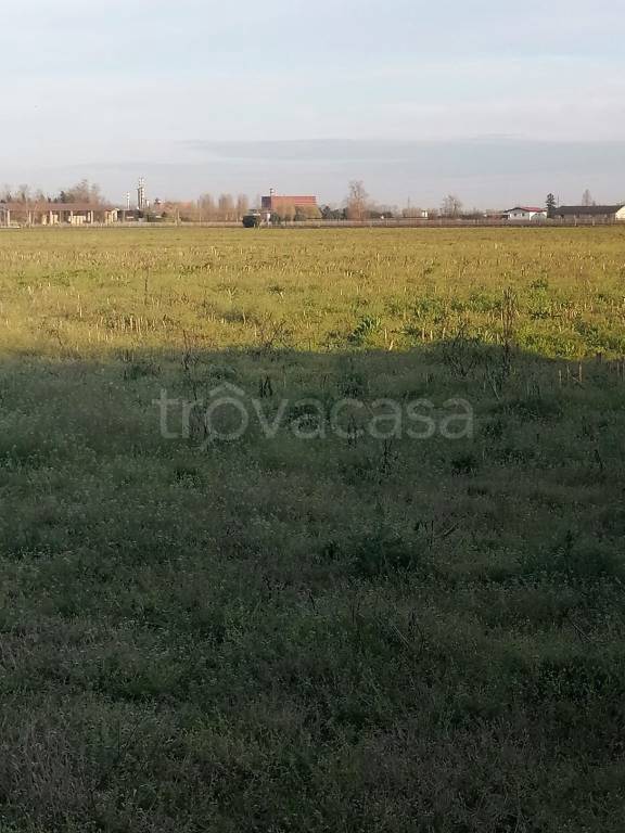 terreno agricolo in vendita a Verona in zona San Michele