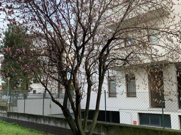 appartamento in vendita a Verona in zona San Massimo all'Adige