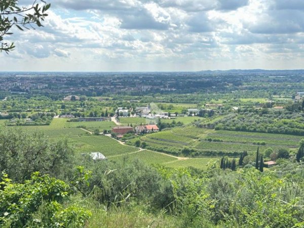 terreno agricolo in vendita a Verona in zona Quinzano