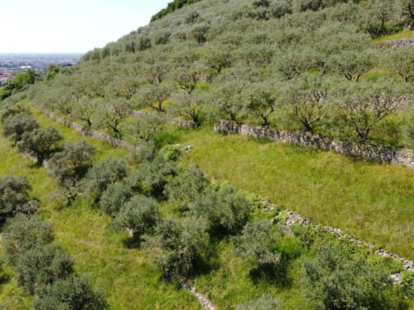 terreno agricolo in vendita a Verona in zona Avesa