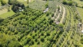 terreno agricolo in vendita a Verona in zona Quinzano