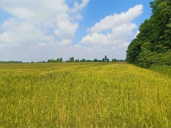 terreno agricolo in vendita a Verona in zona Cadidavid