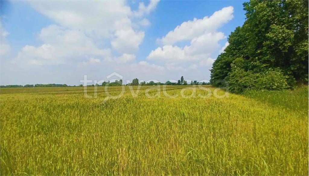 terreno agricolo in vendita a Verona in zona Cadidavid