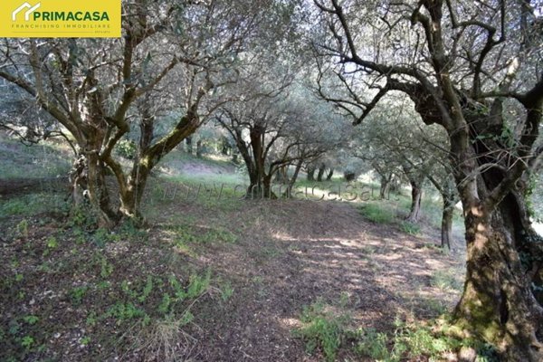 terreno agricolo in vendita a Verona