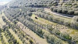terreno edificabile in vendita a Verona in zona Avesa