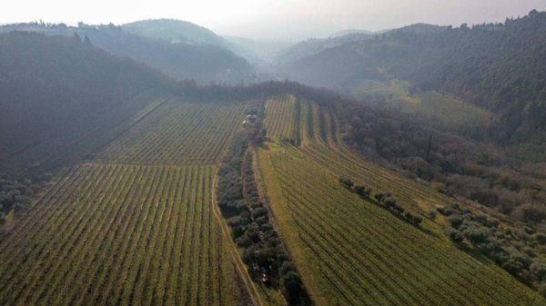 terreno agricolo in vendita a Verona in zona Avesa