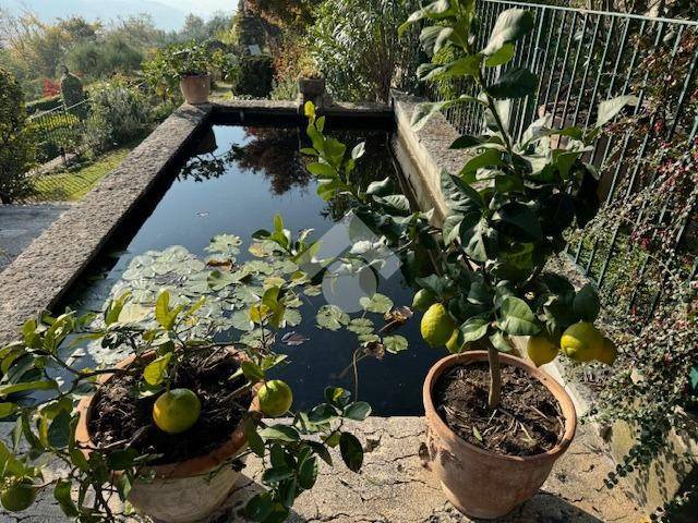 casa indipendente in vendita a Verona in zona Avesa