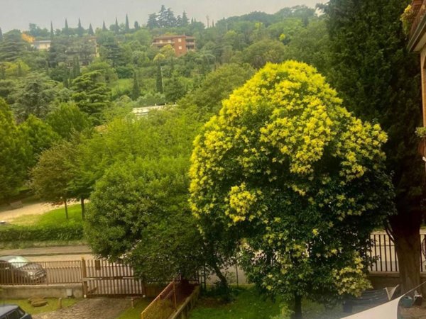appartamento in vendita a Verona in zona Valdonega
