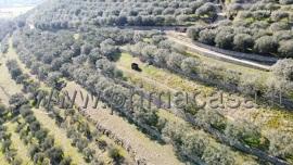 terreno edificabile in vendita a Verona in zona Avesa