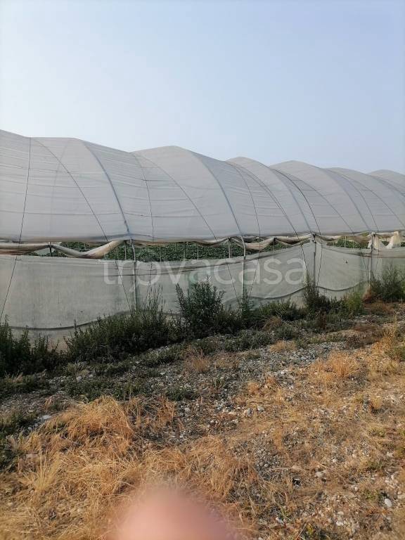 terreno agricolo in vendita a Verona in zona Cadidavid