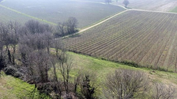 terreno agricolo in vendita a Verona in zona Mizzole