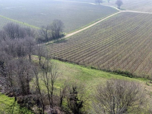 terreno agricolo in vendita a Verona in zona Mizzole