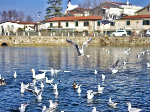 appartamento in vendita a Verona in zona Musicisti / Santa Croce