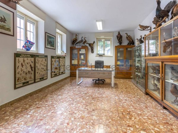 appartamento in vendita a Verona
