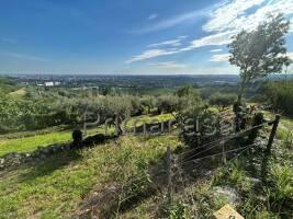 terreno agricolo in vendita a Verona in zona Centro Storico