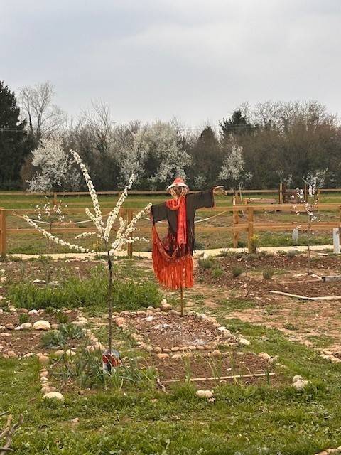terreno agricolo in vendita a Verona in zona Porto Crencano