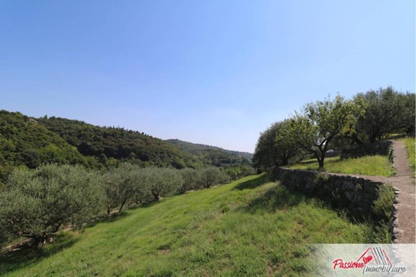 terreno agricolo in vendita a Verona in zona Avesa