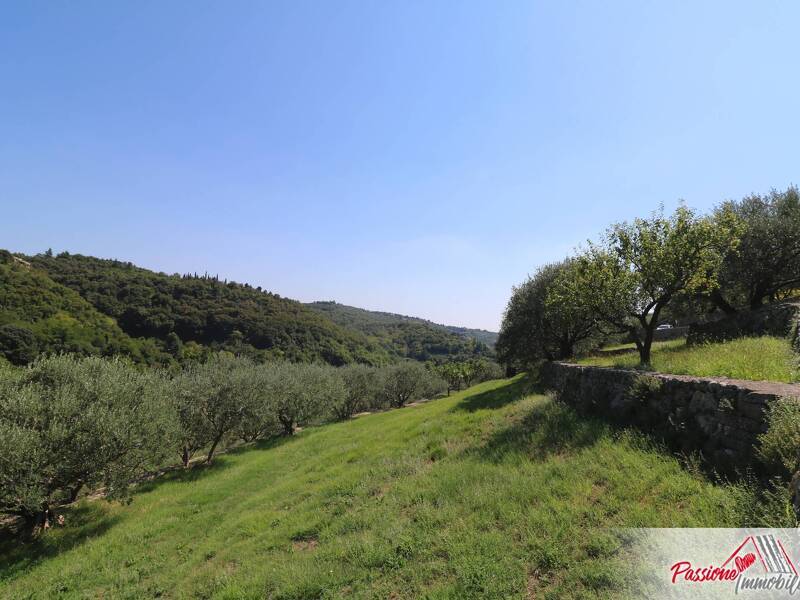 terreno agricolo in vendita a Verona in zona Avesa