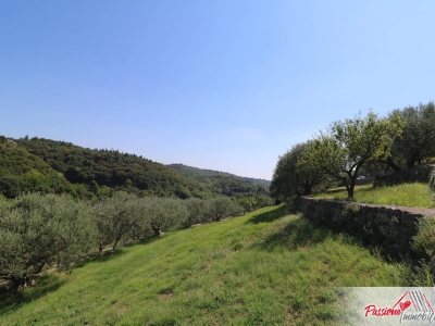 terreno agricolo in vendita a Verona in zona Avesa