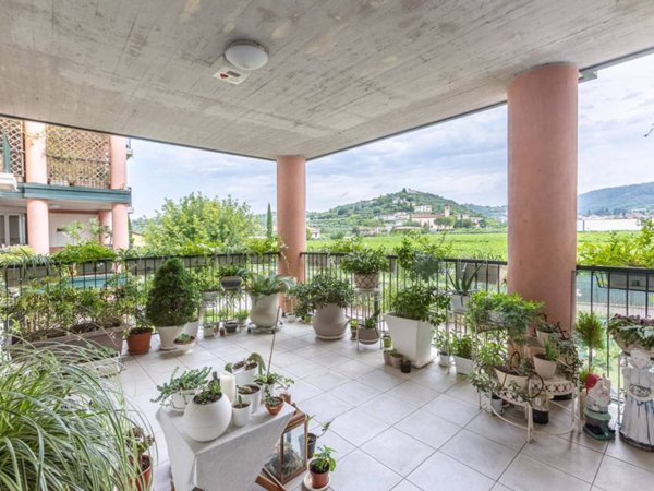 appartamento in vendita a Verona in zona Porto Crencano