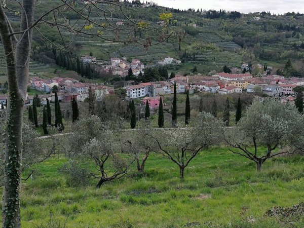appartamento in vendita a Verona in zona Avesa