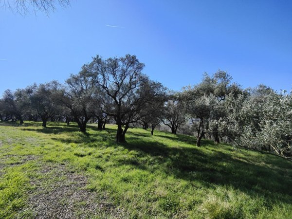 negozio in vendita a Verona in zona Montorio Veronese