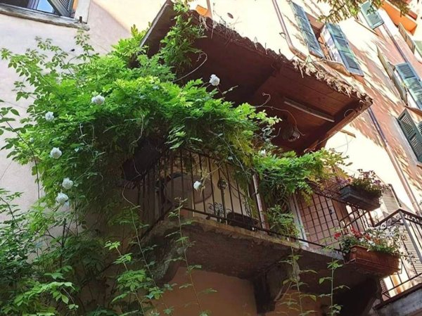 appartamento in vendita a Verona in zona Centro Storico