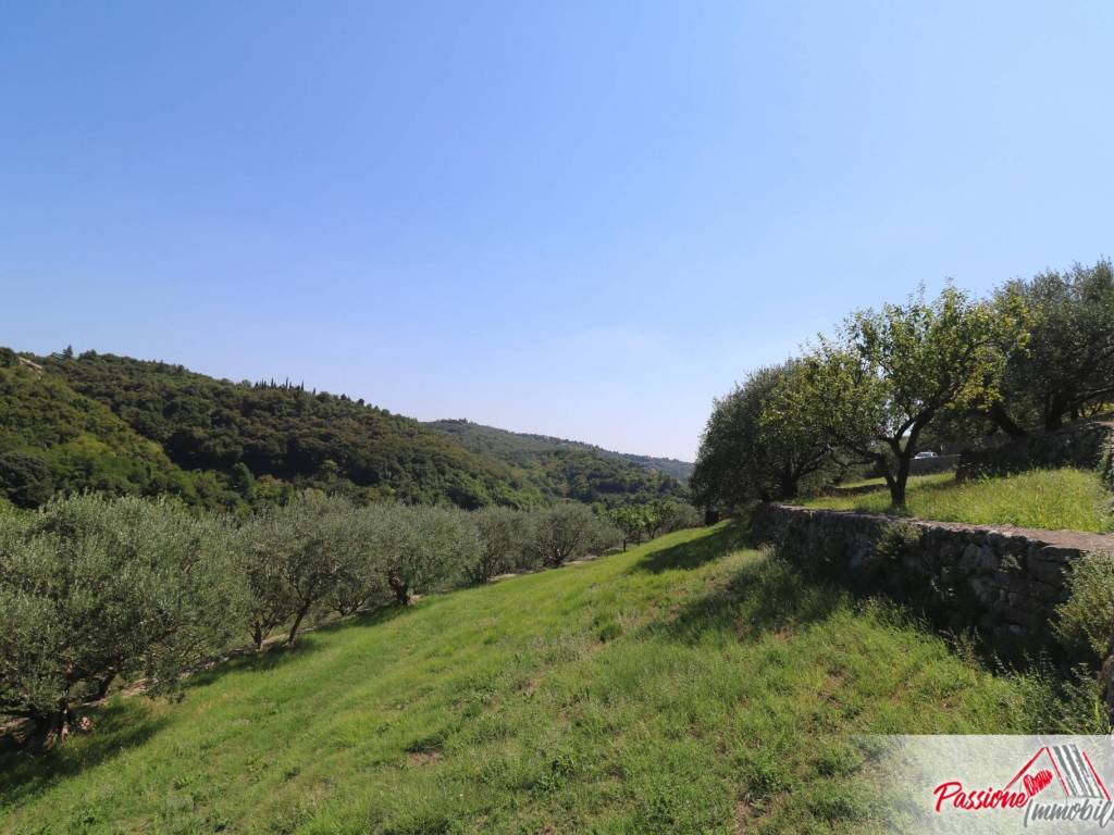 terreno agricolo in vendita a Verona in zona Avesa