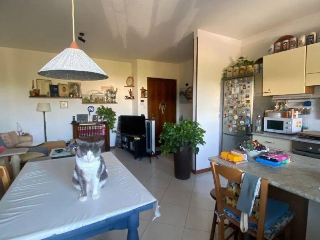 appartamento in vendita a Verona in zona San Massimo all'Adige