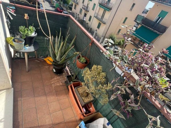 appartamento in vendita a Verona in zona Borgo Roma