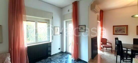 appartamento in vendita a Verona in zona San Pancrazio
