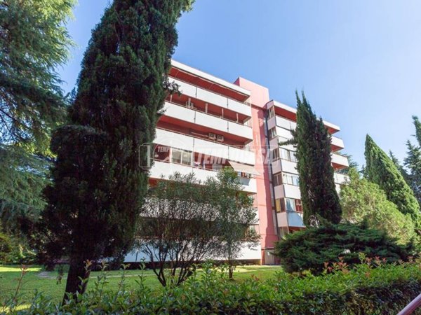 appartamento in vendita a Verona