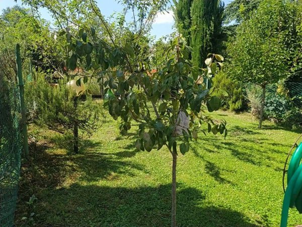 appartamento in vendita a Verona in zona Borgo Milano