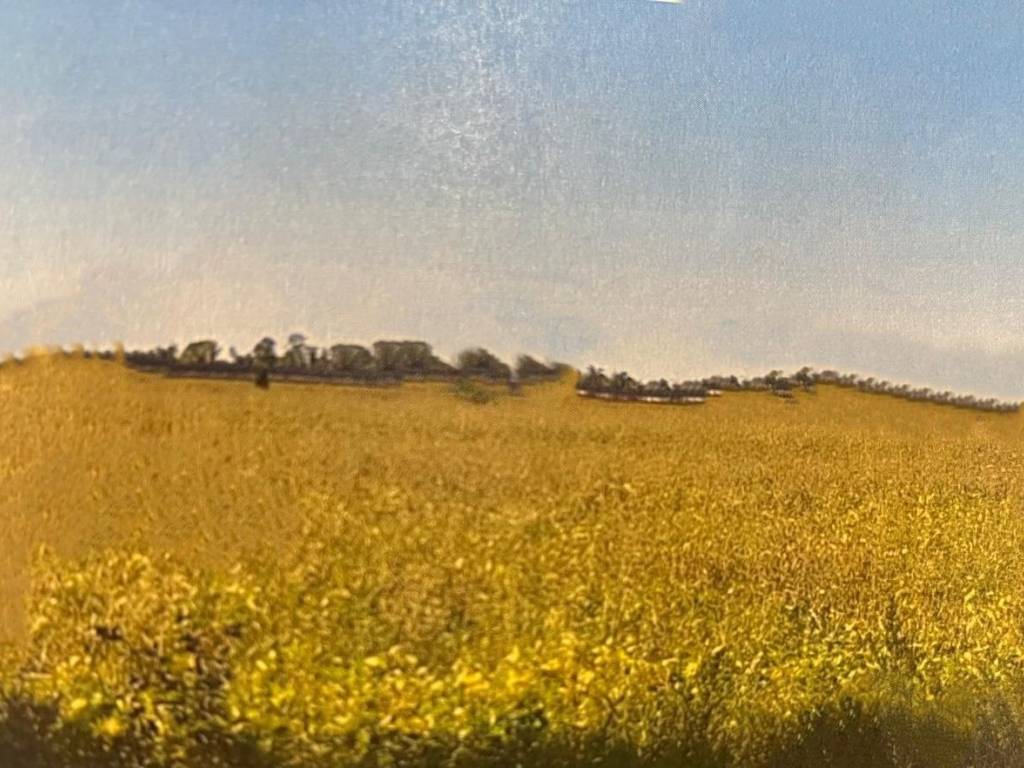 terreno agricolo in vendita a Verona in zona Cadidavid