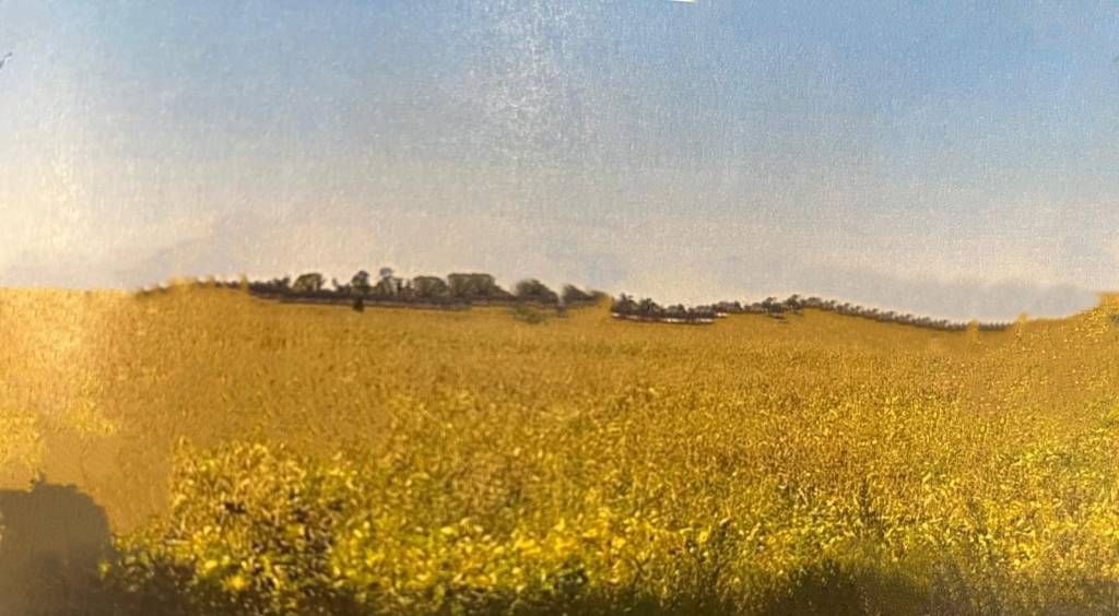 ufficio in vendita a Verona in zona Cadidavid