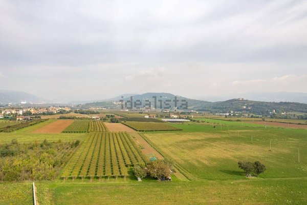 terreno edificabile in vendita a Verona in zona Musicisti / Santa Croce