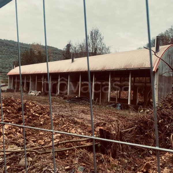 appartamento in vendita a Verona in zona Avesa