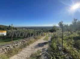 terreno agricolo in vendita a Verona in zona Quinzano