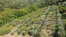 ufficio in vendita a Verona in zona Quinzano