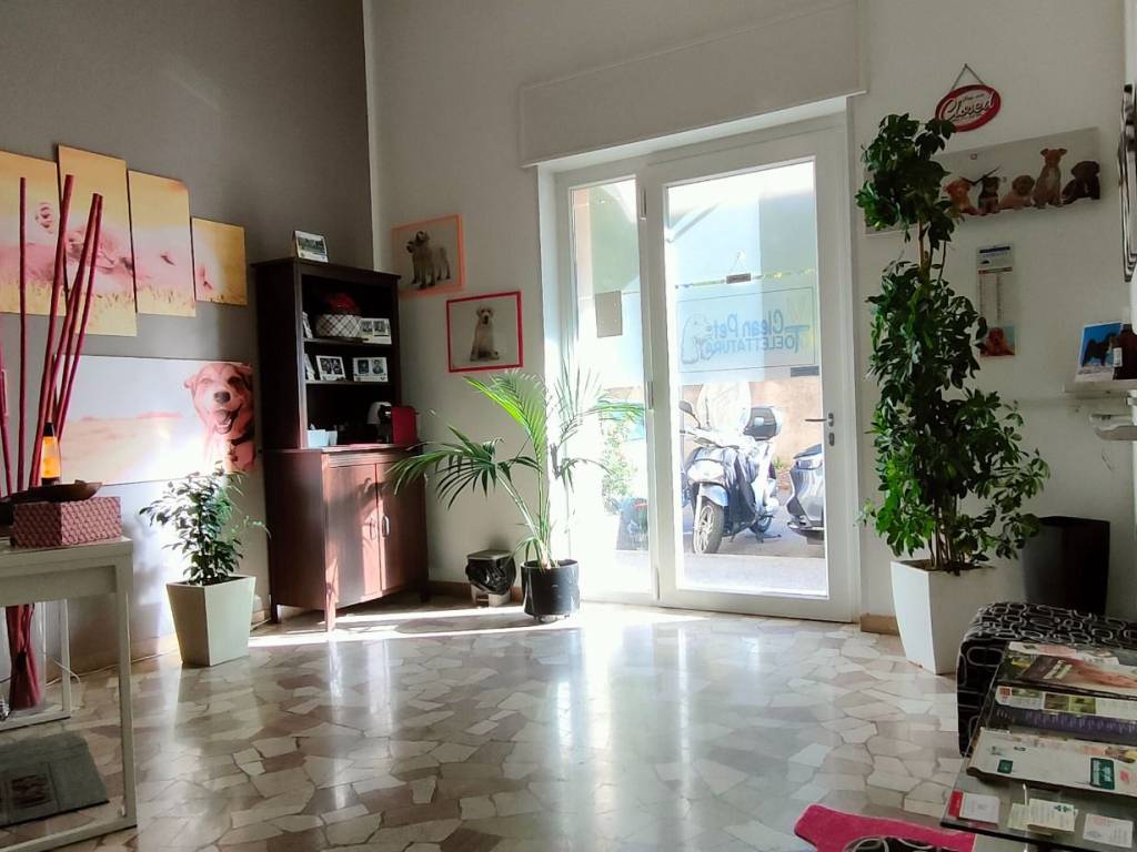 negozio in vendita a Verona in zona Borgo Venezia / Borgo Trieste