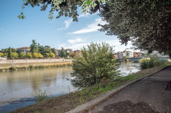 appartamento in vendita a Verona in zona Borgo Trento