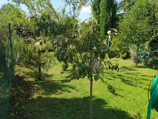 appartamento in vendita a Verona in zona San Massimo all'Adige