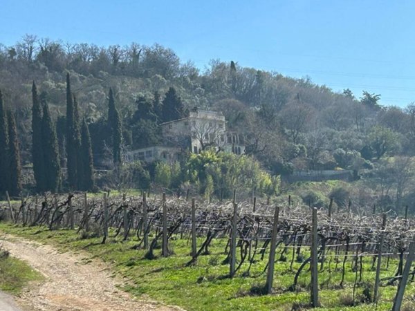 casa indipendente in vendita a Verona in zona Centro Storico