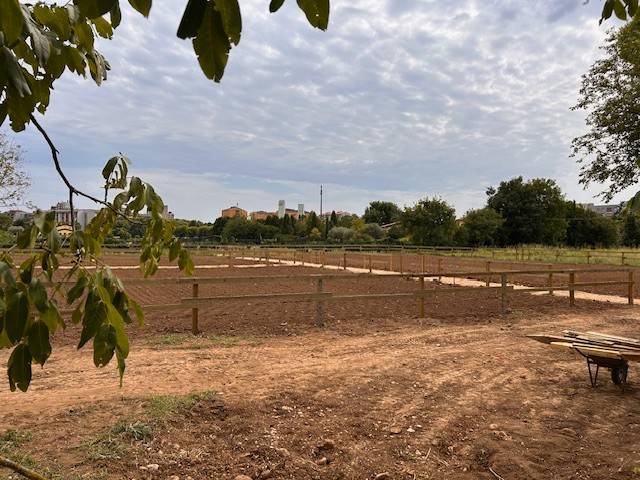 terreno agricolo in vendita a Verona in zona Porto Crencano