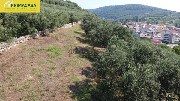 terreno agricolo in vendita a Verona