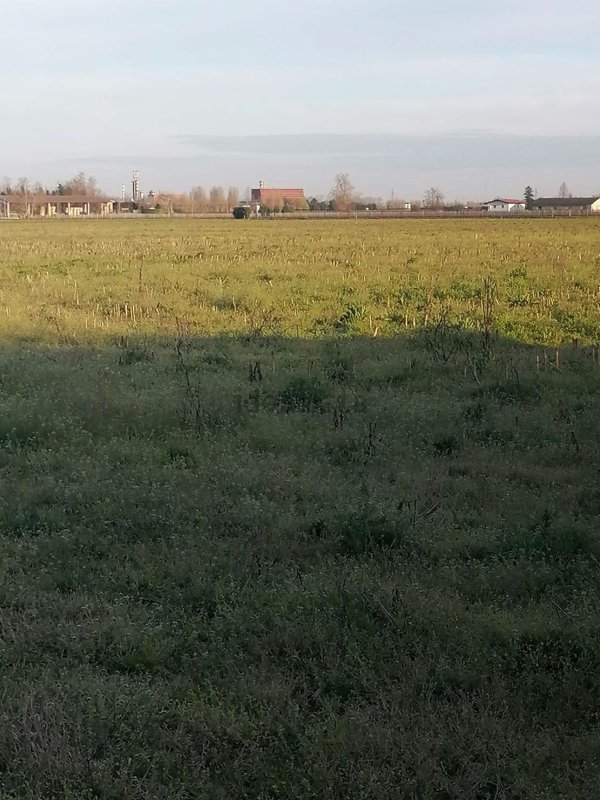 terreno agricolo in vendita a Verona in zona San Michele