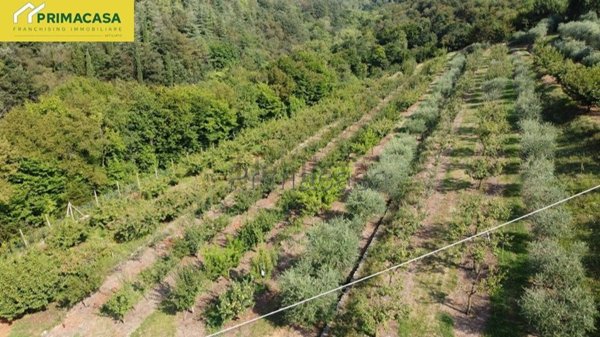 terreno agricolo in vendita a Verona in zona Quinzano